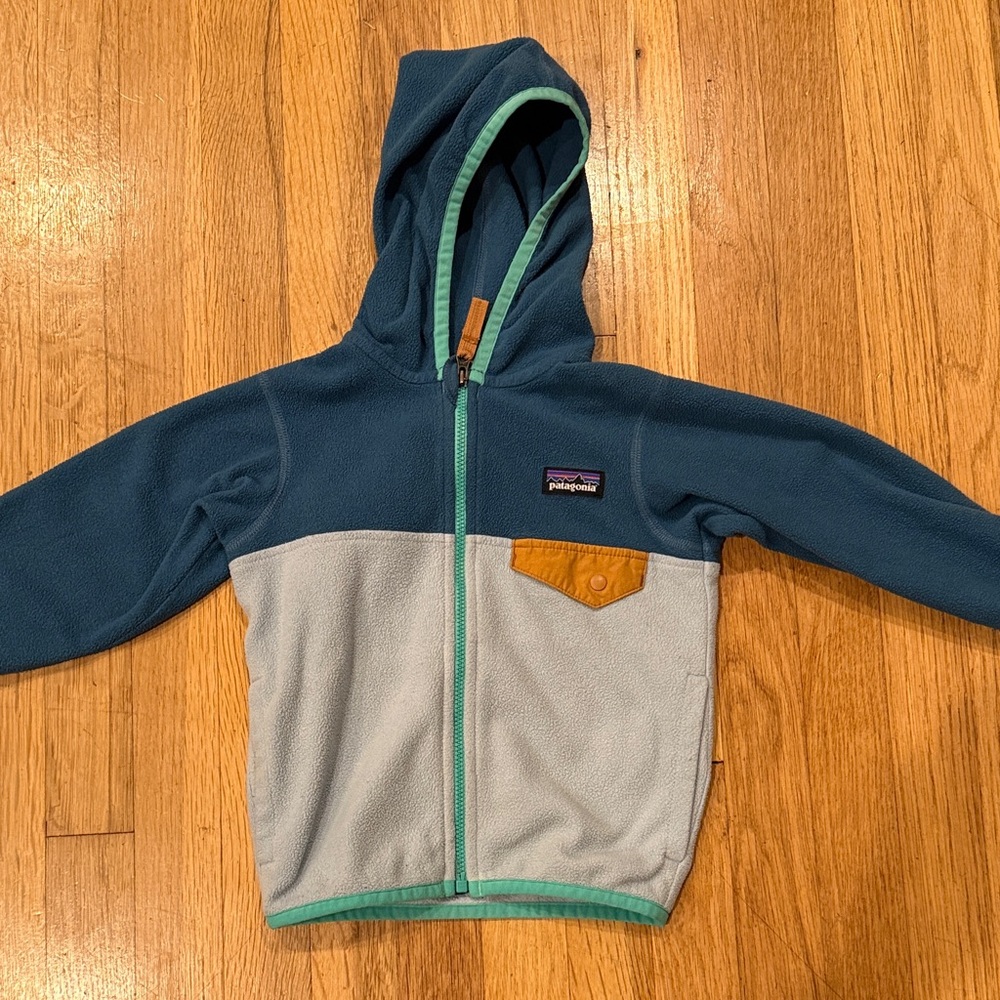 Patagonia Micro D Snap-T Fleece Jacket